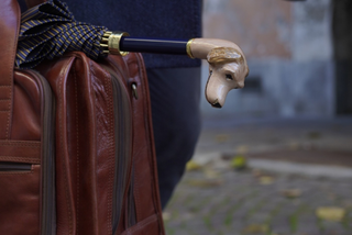 How to Choose a Luxury Umbrella: Canopy, Frame and Handle Guide