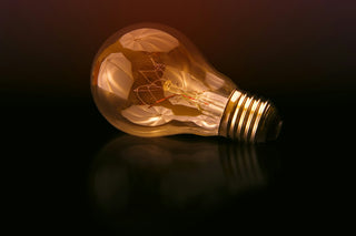 Different types of light bulb compared side by side