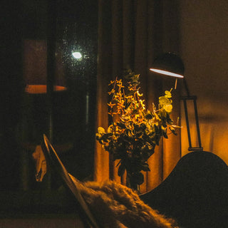 A living room lit to a comfortable brightness using several layered light sources