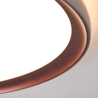 Round LED Ceiling Lamp - Minimalist Brown Bedroom Light with Acrylic Aluminum Flush Mount