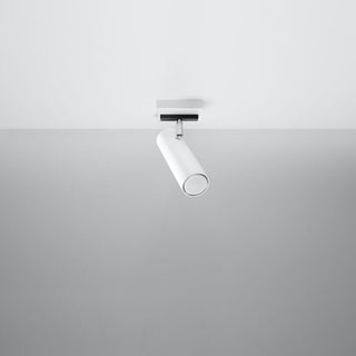 Modern Adjustable Ceiling Light – White Living Room Lighting With Flexible Direction
