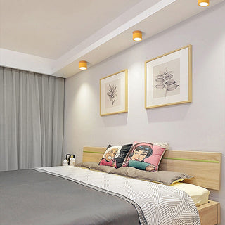 Mini cylinder LED ceiling fixture, aluminum modern flush mount