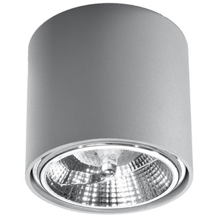 Modern Ceiling Light – Gray Cylindrical Lamp | Contemporary Living Room Lighting