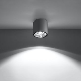 Modern Ceiling Light – Gray Cylindrical Lamp | Contemporary Living Room Lighting