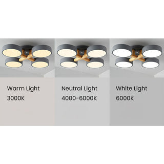 Modern diffused acrylic ceiling lamp, multi-head design