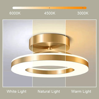 LED Ceiling Light – Luxury Geometry Ring Gold Modern Ceiling Lamp Fixture
