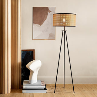 Tall bamboo rattan minimalist indoor floor lamp — living room