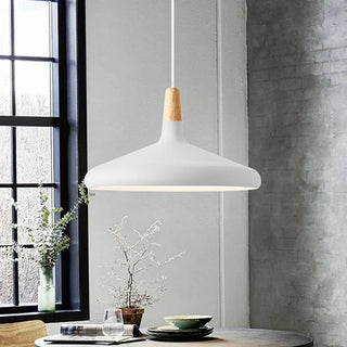 Adjustable metal conical pendant — modern interior fixture