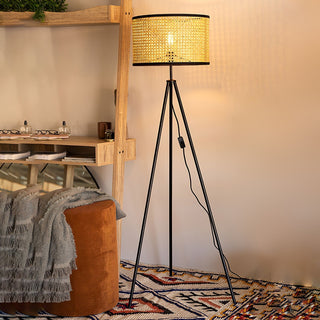 Minimalist bamboo floor lamp side — rattan warm living room