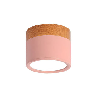 Mini aluminum cylinder ceiling light, modern LED flush mount