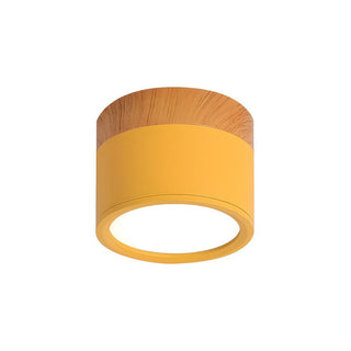 Modern aluminum mini cylinder ceiling lamp, flush mount LED