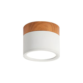 Modern mini cylinder ceiling fixture in aluminum, flush mount