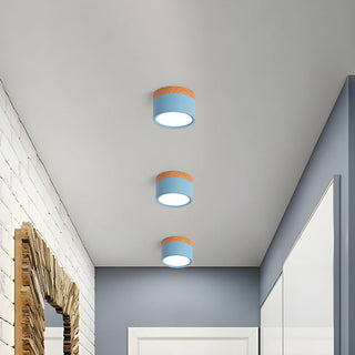 Mini Cylinder Ceiling Light - Aluminum Modern Flush Mount LED Fixture