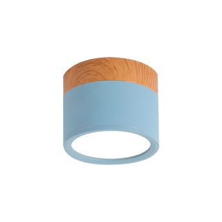 Mini Cylinder Ceiling Light - Aluminum Modern Flush Mount LED Fixture