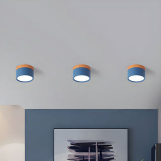 Mini Cylinder Ceiling Light - Aluminum Modern Flush Mount LED Fixture
