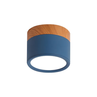 Mini Cylinder Ceiling Light - Aluminum Modern Flush Mount LED Fixture