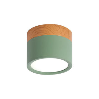 Mini Cylinder Ceiling Light - Aluminum Modern Flush Mount LED Fixture