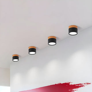 Aluminum cylinder ceiling fixture, modern mini flush mount LED