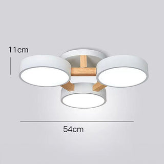 Acrylic Ceiling Light – Modern Multi-Head Fixture with Diffused Acrylic Heads