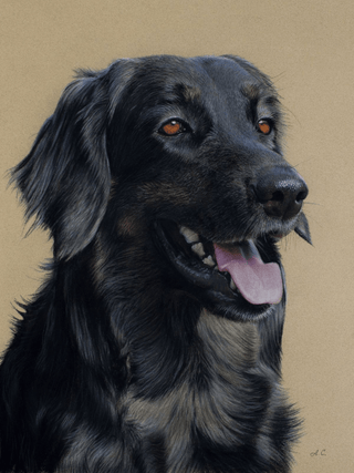dog art portrait realistic pastel painting sennelier card framed close-up