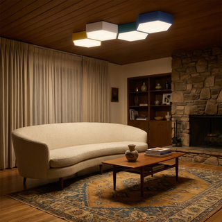 Dimmable Ceiling Light – Modern LED Ceiling Lamp | Adjustable Color Temperature