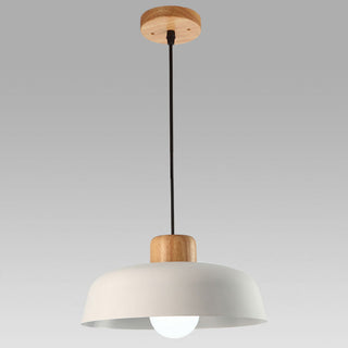 Scandinavian pendant with stained metal shade and cord