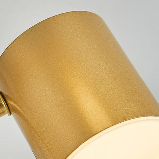 Metal ceiling lamp close-up, gold black circle flush mount