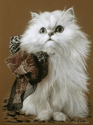 pastel cat portrait realistic cat art sennelier card framed close-up