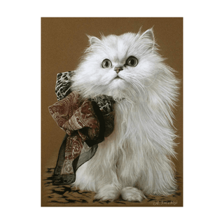 pastel cat portrait realistic cat art sennelier card framed front view