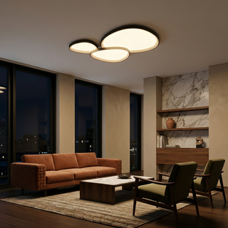Modern LED Ceiling Light – Artistic Sculptural Design | Adjustable Ambient Lighting