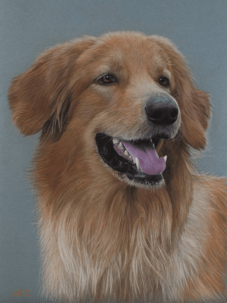 pastel dog portrait realistic animal art aleksandr smahlyi close-up