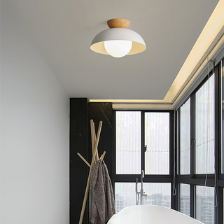 Eco-friendly metal ceiling lamp close-up, minimalist modern