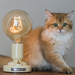 Cat pattern lamp detail — pink white LED warm texture
