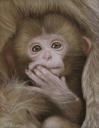 pastel monkey portrait hand drawn realist animal painting paper close-up