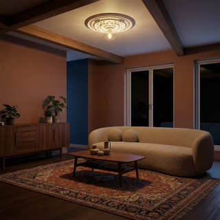 Vintage Ceiling Light – Adjustable LED Lighting | French Retro Lighting Fixture