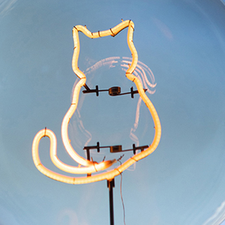 Pink cat pattern lamp front — white bedside LED design