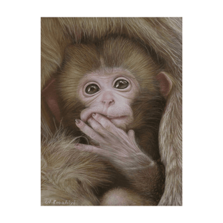 pastel monkey portrait hand drawn realist animal painting paper front view