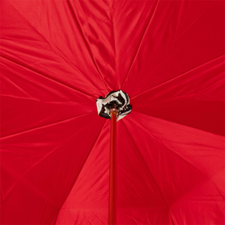Zebra lion print luxury Italian women's umbrella canopy detail
