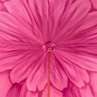 Fuchsia dahlia double cloth polyester manual umbrella open canopy