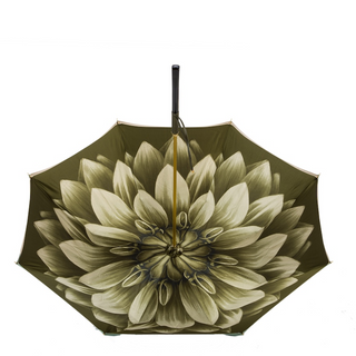 Designer green double cloth Italian wooden handle umbrella top view
