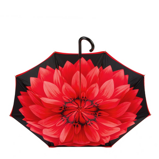 Designer ladybug double cloth wooden handle gift box umbrella top