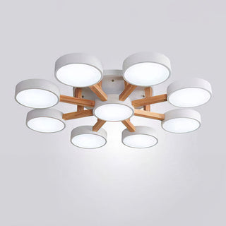 Acrylic Ceiling Light – Modern Multi-Head Fixture with Diffused Acrylic Heads