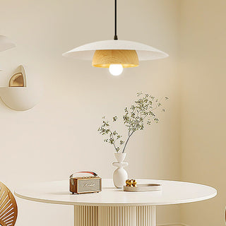 Flying saucer pendant styled — Nordic modern iron hanging lamp