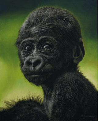 pastel monkey portrait hand-drawn realist wildlife print framed close-up