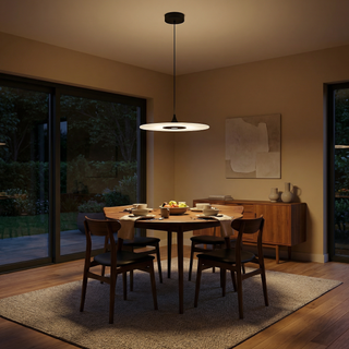 Modern Pendant Lamp – Acrylic Aluminum Disc Light | LED Dual Source, Warm Neutral Cool