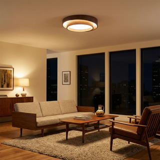 Modern LED Ceiling Light – Metal Surface Mount Fixture for Living Room Lighting