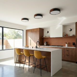 Minimalist Black Ceiling Light – Modern Surface Mount Fixture for Living Room & Bedroom