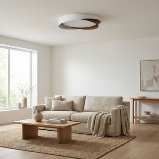 Modern Iron Ceiling Light – Integrated LED Surface Mount Fixture for Interior Lighting