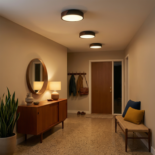 Minimalist Black Ceiling Light – Modern Surface Mount Fixture for Living Room & Bedroom