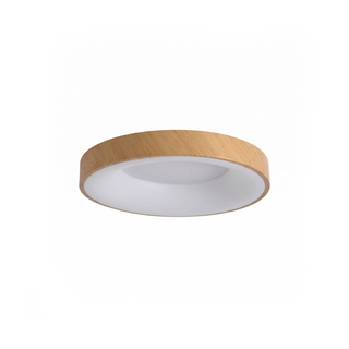 Round Metal Ceiling Light – Modern LED Fixture With Remote Control & Dimmable Brightness